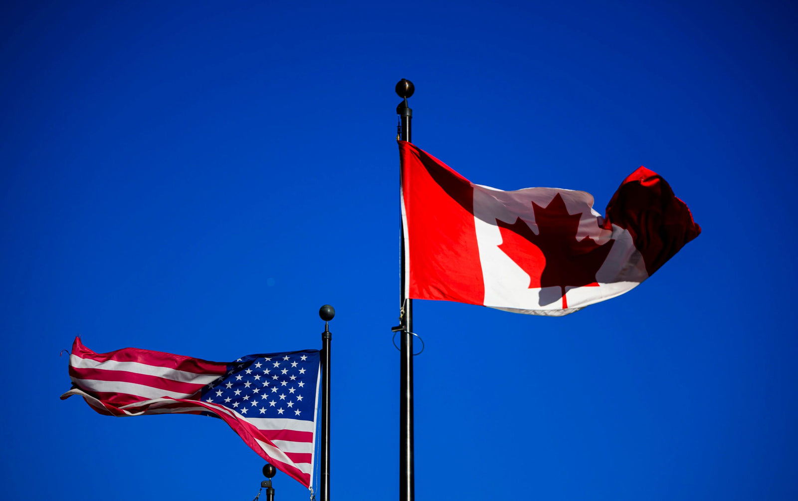 lucky 8 vapes flag canada and usa tariffs disposables vapes