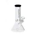 Blueberry 8