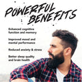 ALPHA Nootropic Pouches - Mango
