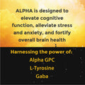 ALPHA Nootropic Pouches - Mango